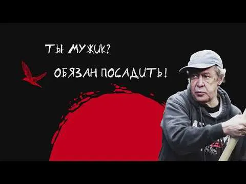 Нажмите и смотрите Нажмите и смотрите