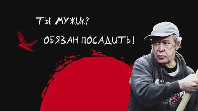 Нажмите и смотрите Нажмите и смотрите