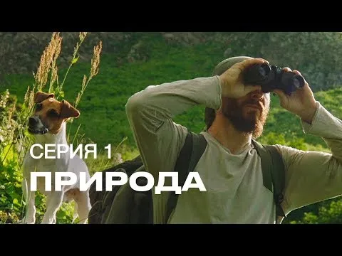 Нажмите и смотрите Нажмите и смотрите