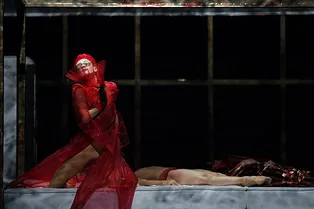 6 премьер фестиваля Dance Open, ради которых надо ехать в Петербург