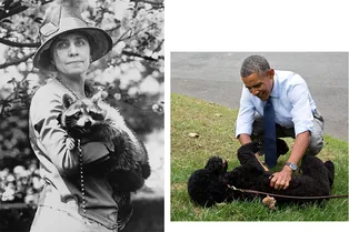 Еноты, опоссумы и овчарки из приюта: самые знаменитые питомцы президентов США