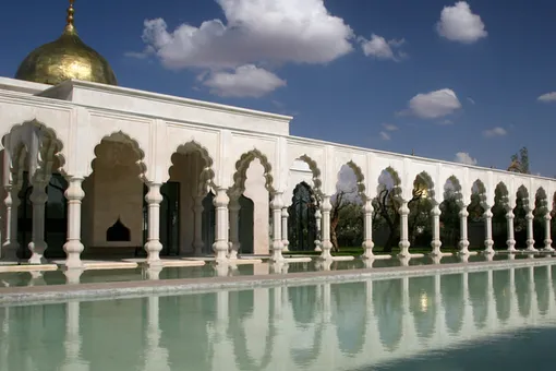 Цитрусовое настроение Цитрусовое настроение