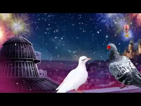 Нажмите и смотрите Нажмите и смотрите