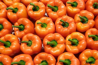 Почему нам всем нужен бета-каротин и где его искать