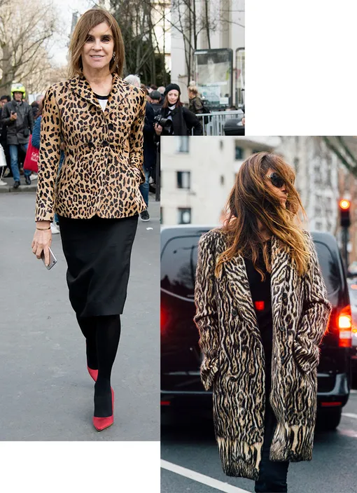 Карин Ройтфельд и Каролин Де Мегрэ Карин Ройтфельд и Каролин Де Мегрэ