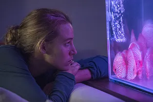 5 звезд-интровертов