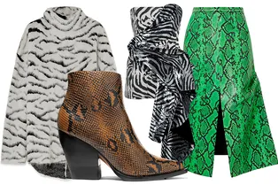 11 универсальных вещей с необычным анималистичным принтом для тех, кому надоел леопард