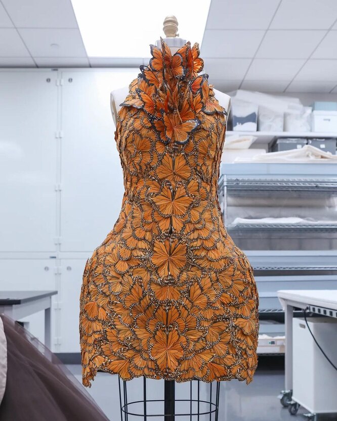 Alexander McQueen весна-лето 2011 Alexander McQueen весна-лето 2011