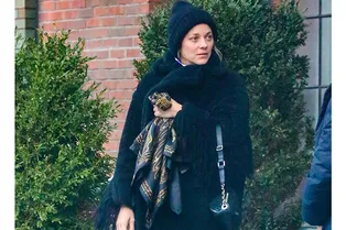 Утеплиться по-французски: Марион Котийяр заменила привычный теплый шарф шелковым платком