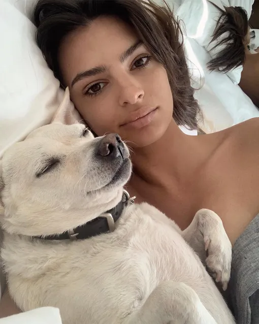 @emrata @emrata