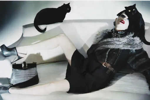 Таймлайн котиков в рекламных кампаниях и модных съемках Таймлайн котиков в рекламных кампаниях и модных съемках