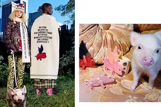 Всем по мини-пигу: Gucci выпустили капсульную коллекцию в честь символа нового года
