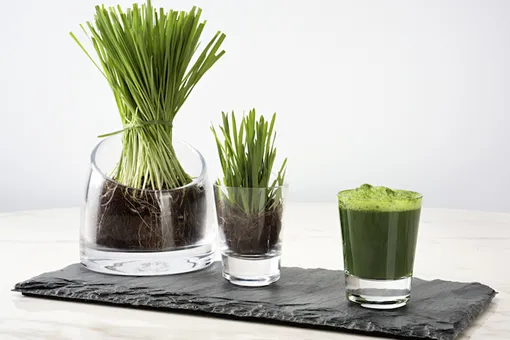 7 простых правил для легкой весны 7 простых правил для легкой весны