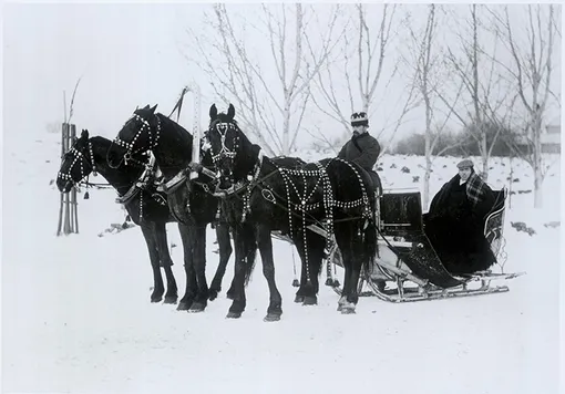 ПЕРВЫЙ ВИЗИТ ПЬЕРА КАРТЬЕ В РОССИЮ (1904–1905)