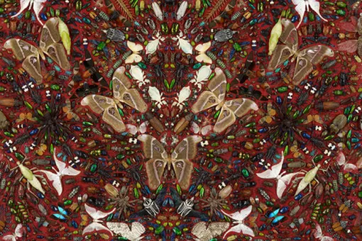 Коллаборации Коллаборации