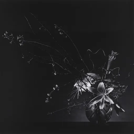 Robert Mapplethorpe. Flower Arrangement. 1982. Частная коллекция Марианны Сардаровой Robert Mapplethorpe. Flower Arrangement. 1982. Частная коллекция Марианны Сардаровой