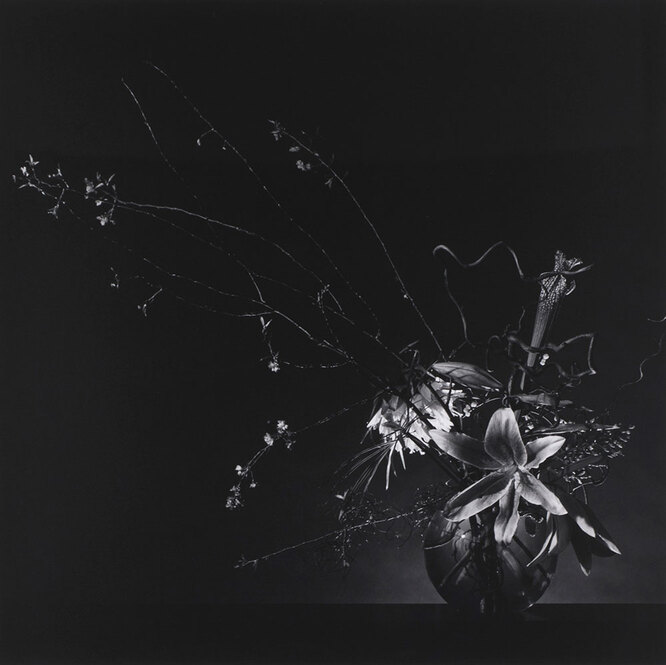 Robert Mapplethorpe. Flower Arrangement. 1982. Частная коллекция Марианны Сардаровой