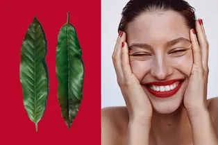 Синергия молодости: как союз науки и природы помогает бороться со старением Синергия молодости: как союз науки и природы помогает бороться со старением