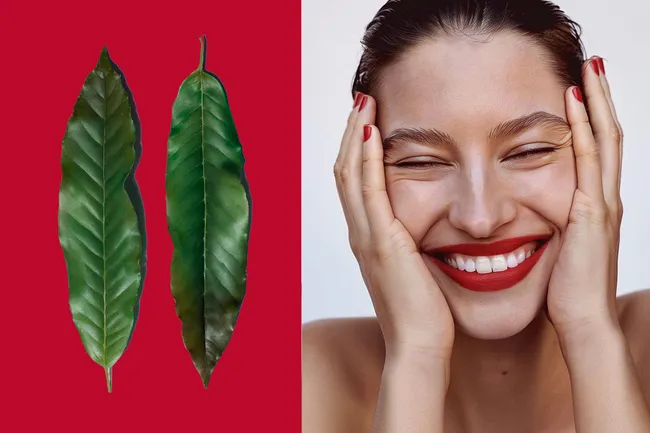 Синергия молодости: как союз науки и природы помогает бороться со старением