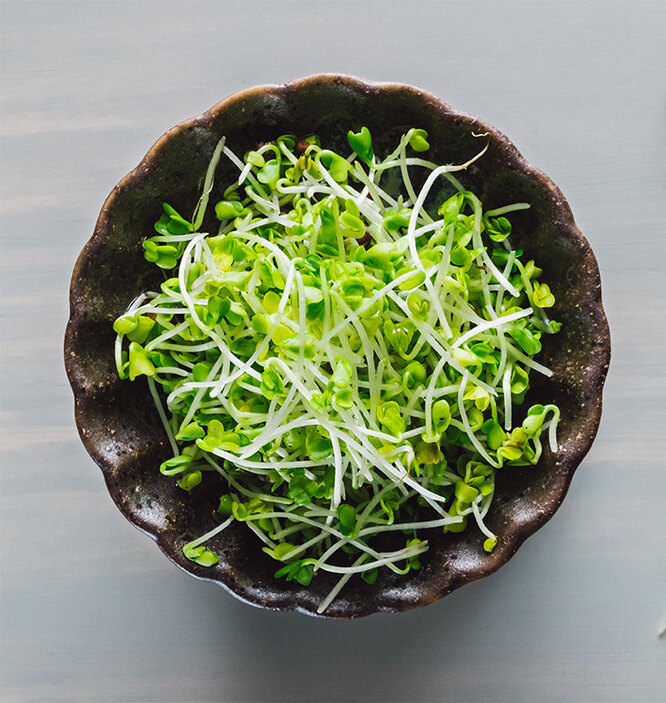 В чем польза ростков брокколи?