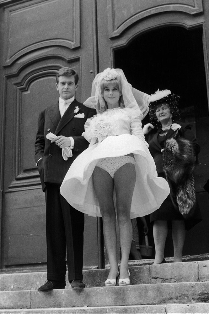 Жалаңаш балапандардың ит стиліндегі трахналдық суреттері