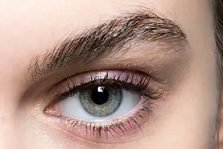 Густые брови: 4 главных секрета