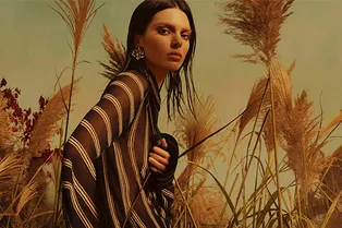 Roberto Cavalli начинают закрывать магазины