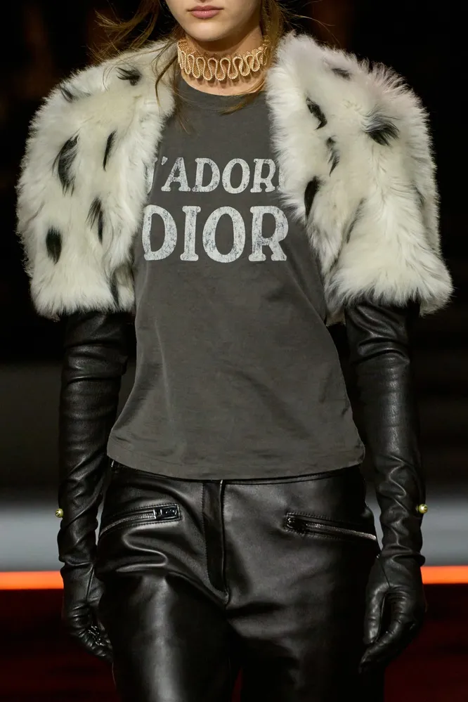 Dior осень-зима 2025/2026