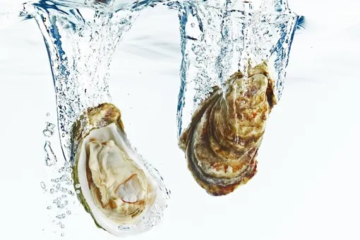 Устричный бар Minibar Устричный бар Minibar