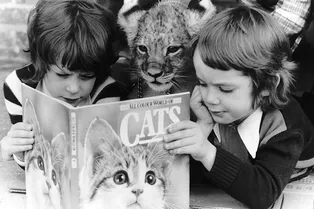 «Просто забудьте что-то советовать родителям с детьми»: Яна Кушнер о том, как общаться с друзьями, у которых есть дети