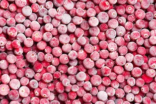 Чудодейственная ягода— полезные свойства клюквы