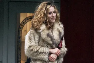 В Нью-Йорке собираются запретить продажу натурального меха