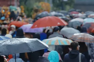 Видео дня: сериал «Посетите землю», который будут транслировать в космосе