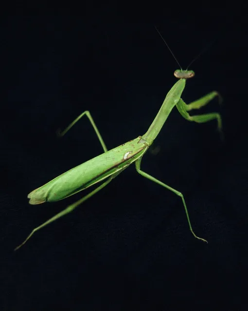 Фото из инстаграм-аккаунта (Социальная сеть признана экстремистской и запрещена на территории Российской Федерации)