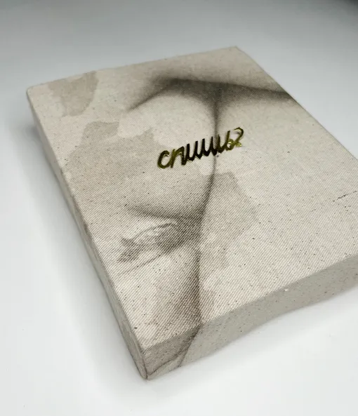 Лана Морозова. «Спишь» Лана Морозова. «Спишь»