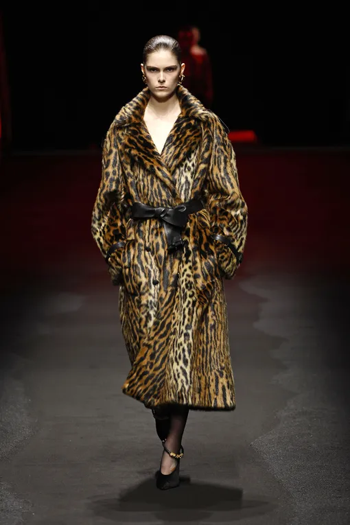 Roberto Cavalli осень-зима 2025/26