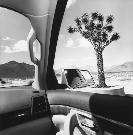 Lee Friedlander, California, 2008