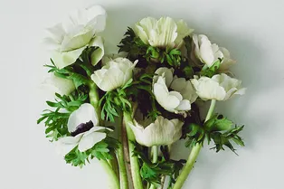 Шопинг-дайджест: 6 — 13 марта