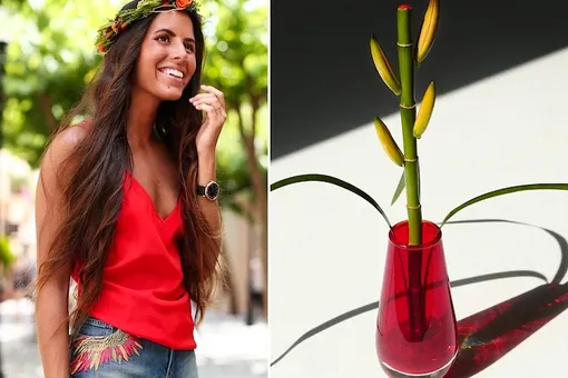 Еда и мода в La Roca Village Еда и мода в La Roca Village