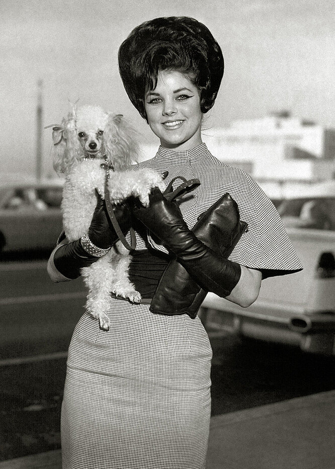 Присцилла Пресли, 1965 год