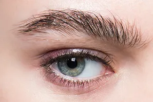 Какие брови — самые модные