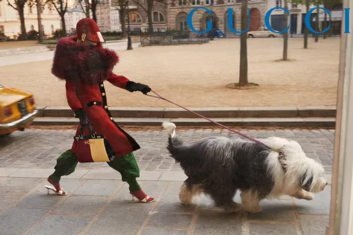 Gucci Fall/Winter 2019 Gucci Fall/Winter 2019