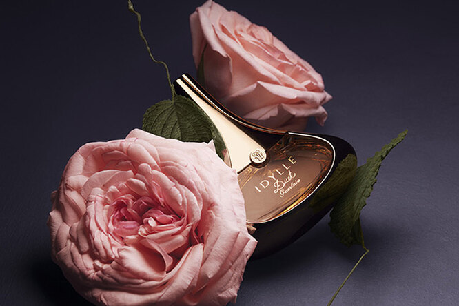5 самых романтичных ароматов с нотой розы