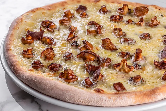 Сезонная пицца с лисичками и сыром таледжо