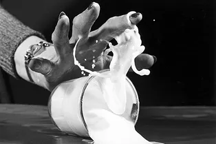 Какое молоко самое полезное