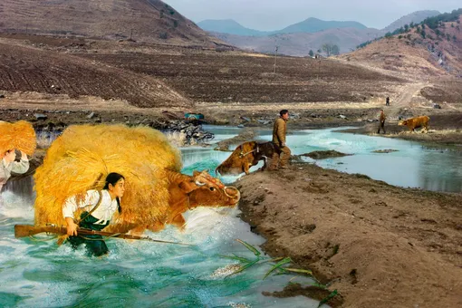 Элис Велинга, «Не отступая». 2013–2014 Элис Велинга, «Не отступая». 2013–2014