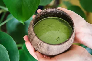 Зачем пить сок из сельдерея каждый день