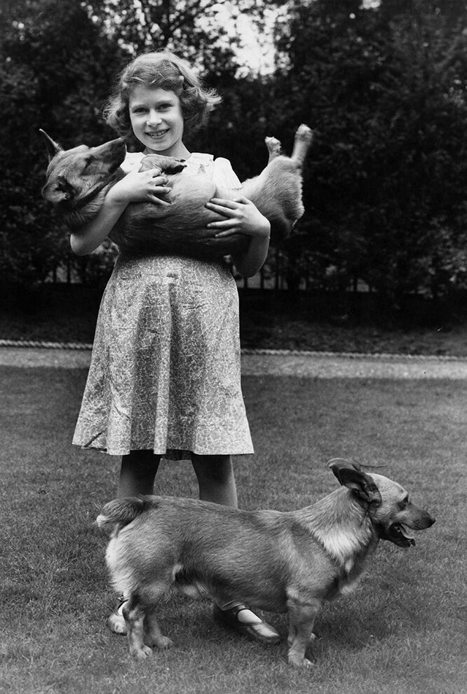1936 год