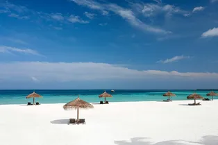 Где спастись от серости и хандры? Конечно, на Мальдивах