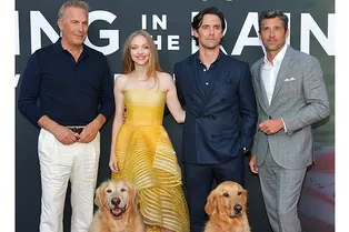 Два золотистых ретривера, Аманда Сейфрид, Кевин Костнер и Патрик Демпси на премьере в Голливуде